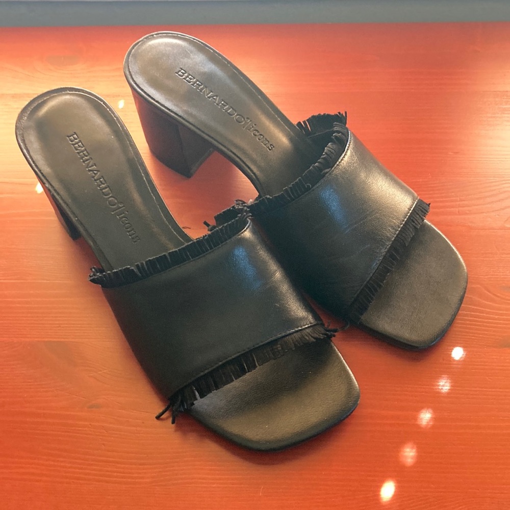 Bernardo Blane 1 Slides